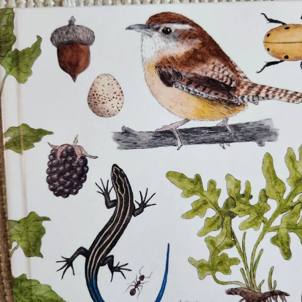 NEW Nature Journal for Kids Activity Book Notebook Hardcover Book Birdwatching B